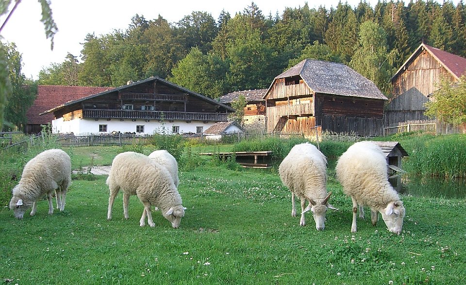 Urlaub im Dreiburgenland im Bayerwald