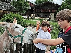 Bayerischer Wald