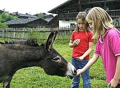 Bayerischer Wald