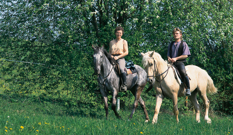 Reiturlaub in Thurmansbang Bayr. Wald