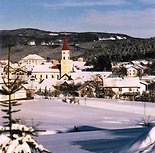 Bayerischer Wald