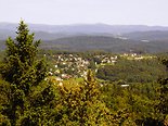 Bayerischer Wald