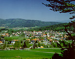 Bayerischer Wald