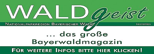 Bayerischer Wald