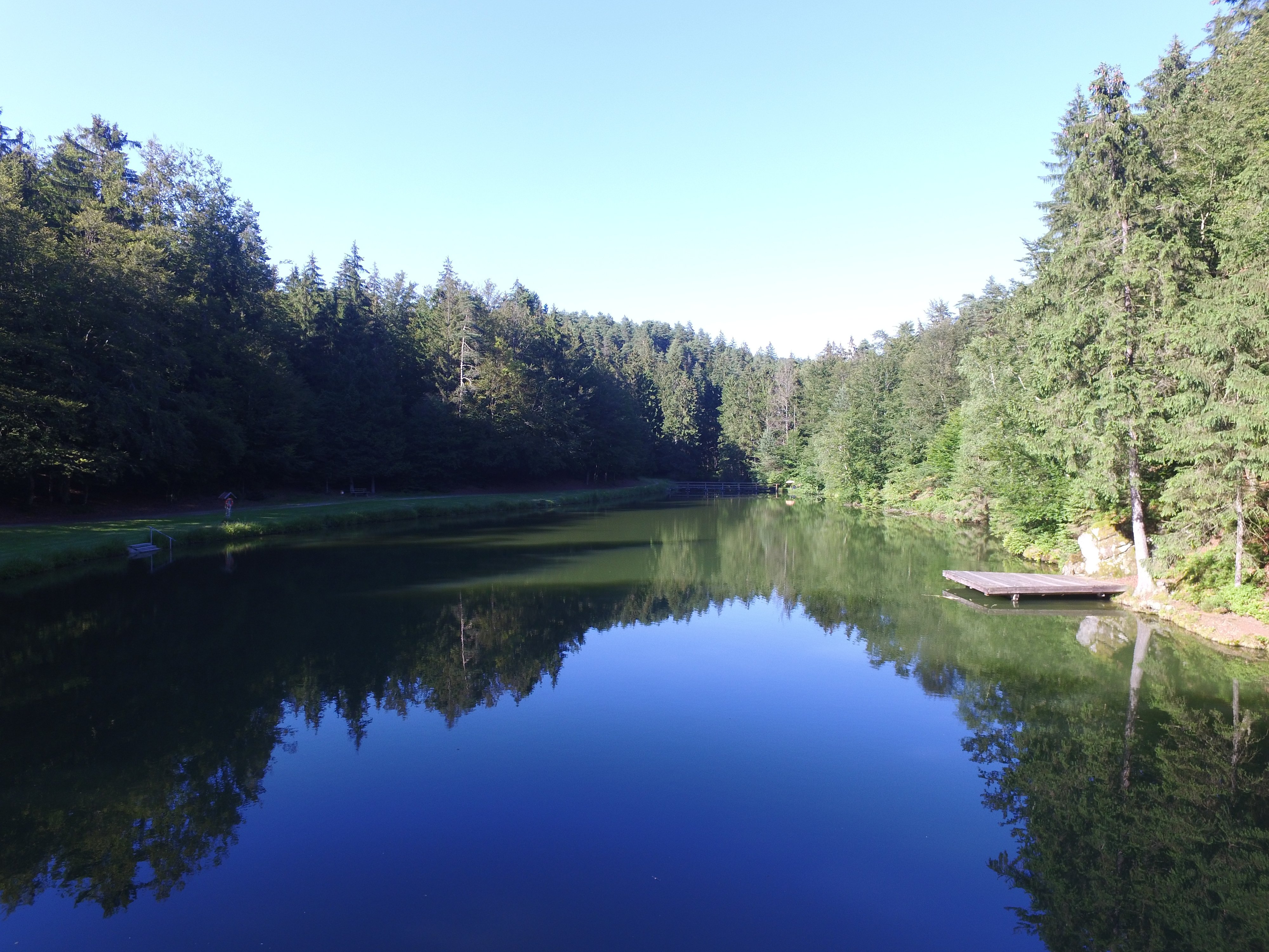 Bayerischer Wald