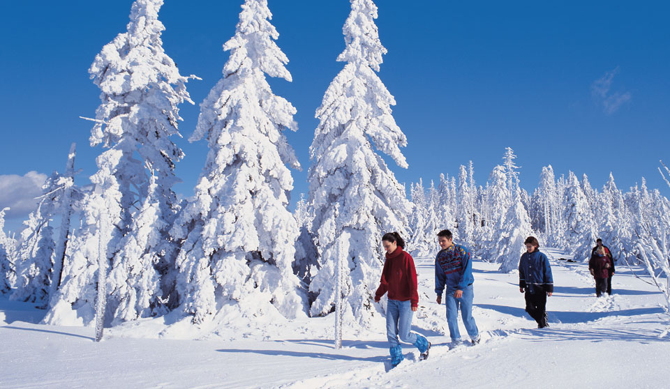 Bayerischer Wald Winterwandern in Thurmansbang Schneeschuhwandern